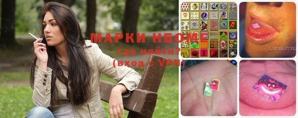 прущие грибы Алексин