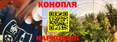 твердый Бийск