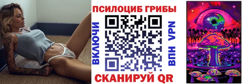 Галлюциногенные грибы Cubensis Гусь-Хрустальный