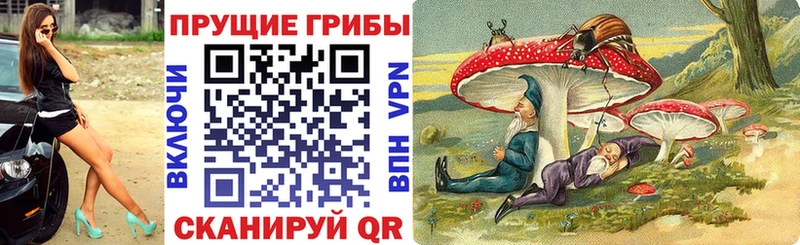 OMG как зайти  Гусь-Хрустальный  Псилоцибиновые грибы MAGIC MUSHROOMS 