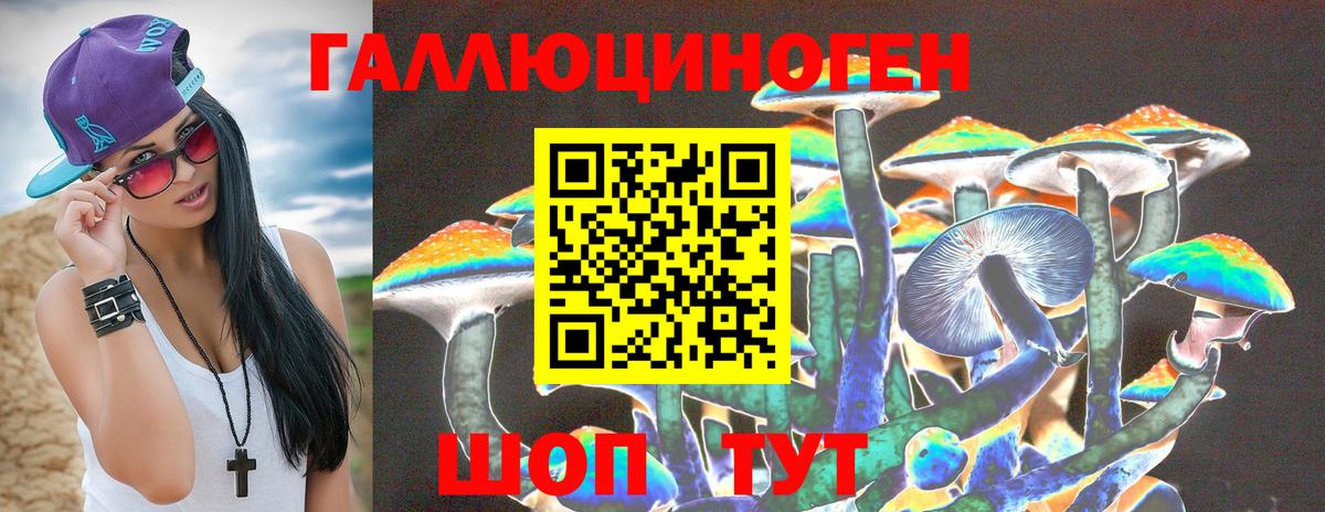 Псилоцибиновые грибы MAGIC MUSHROOMS  Вход с VPN  Гусь-Хрустальный 